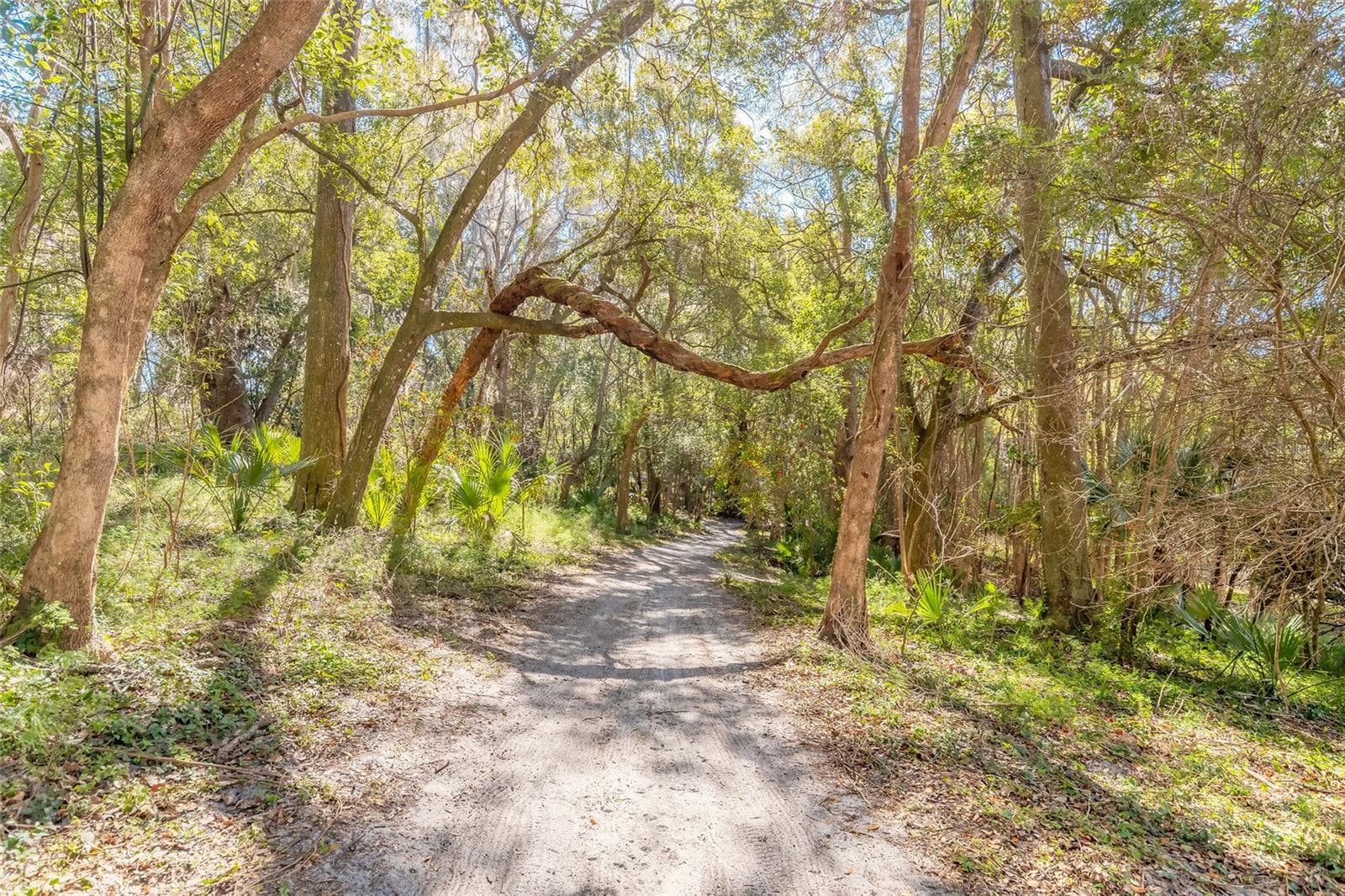 Land at 2095 STONE RD, DELAND, photo 17 of 35