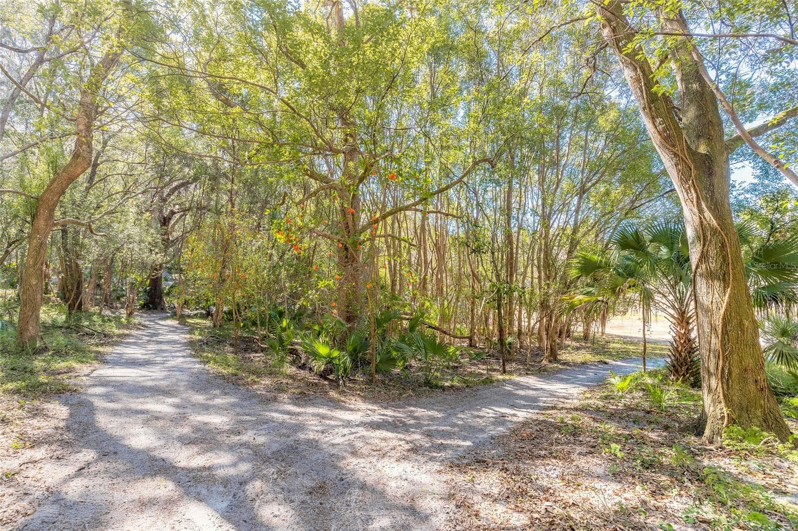 Land at 2095 STONE RD, DELAND, photo 18 of 35