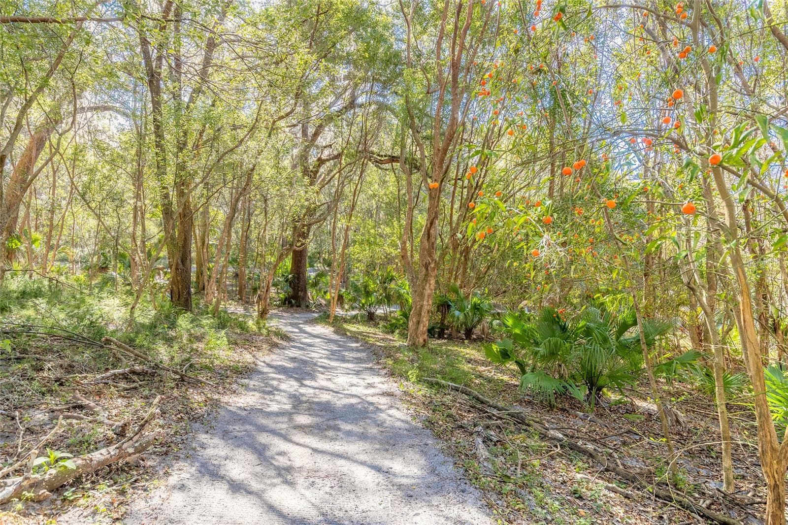 Land at 2095 STONE RD, DELAND, photo 22 of 35