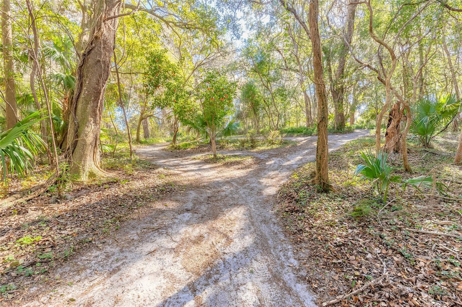 Land at 2095 STONE RD, DELAND, photo 23 of 35