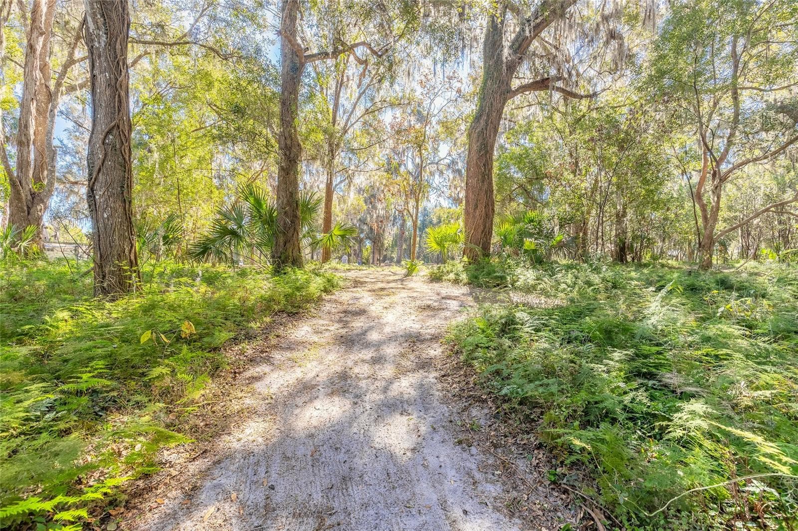 Land at 2095 STONE RD, DELAND, photo 24 of 35