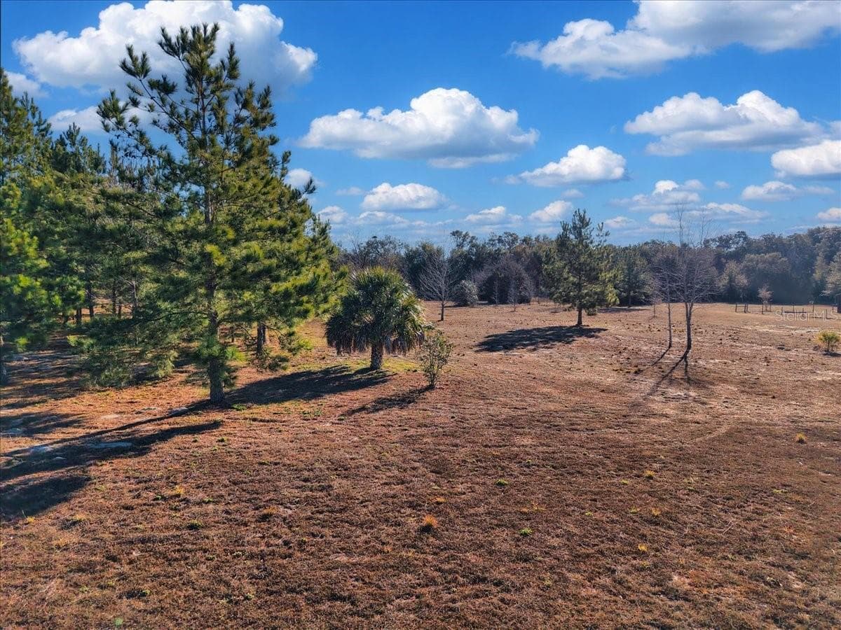 Land at NW 76TH AVE, CHIEFLAND, photo 4 of 13