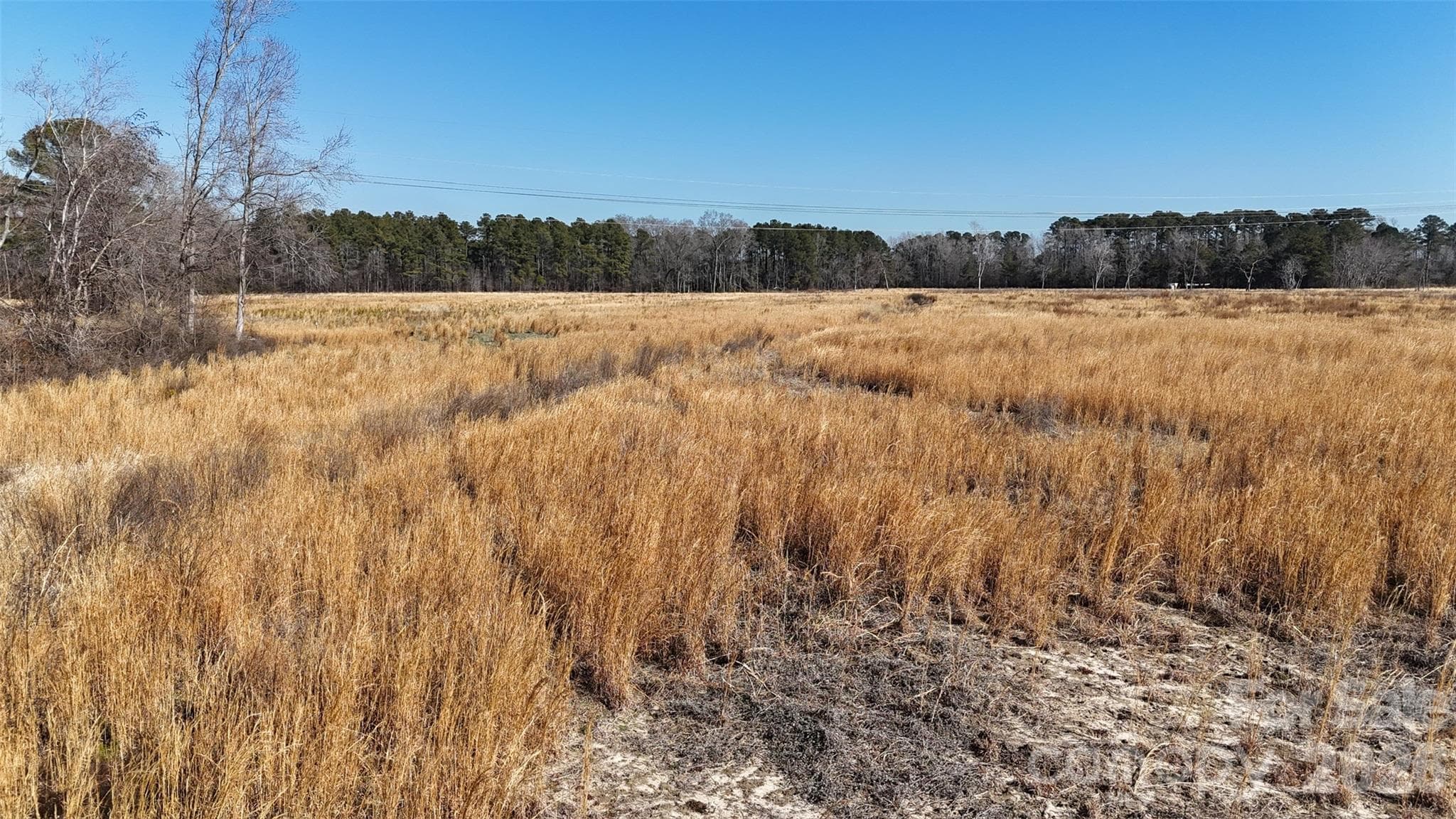 Acreage at Fayetteville, photo 5 of 31