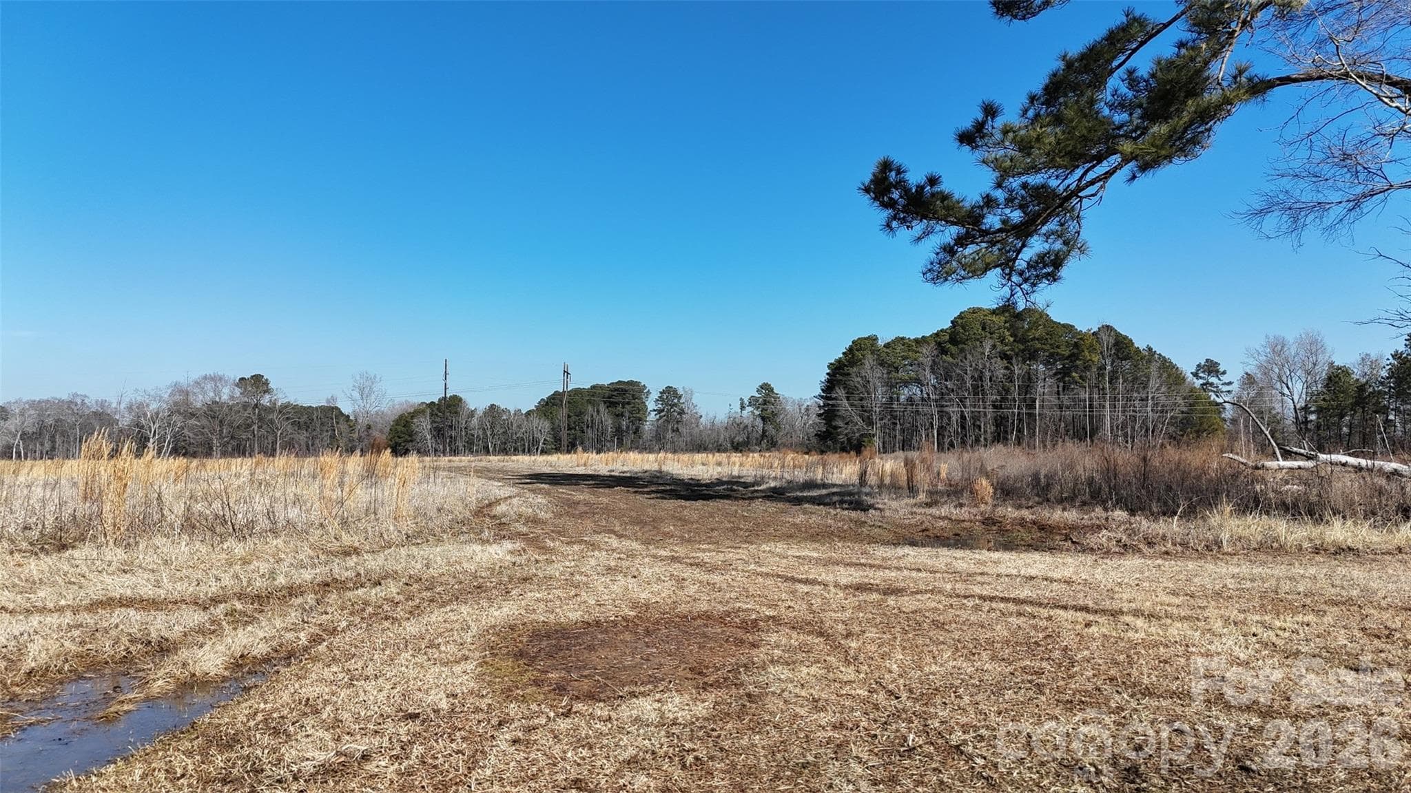 Acreage at Fayetteville, photo 8 of 31
