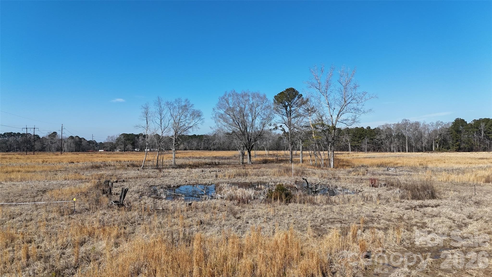 Acreage at Fayetteville, photo 9 of 31