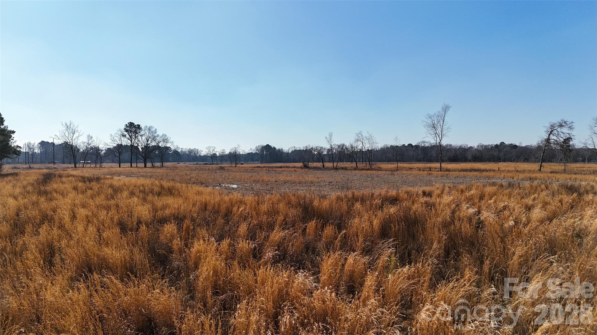 Acreage at Fayetteville, photo 18 of 31