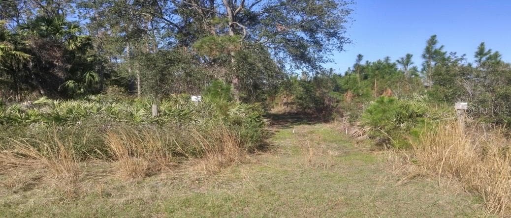 Land at US 1 NORTH, BUNNELL, photo 7 of 8