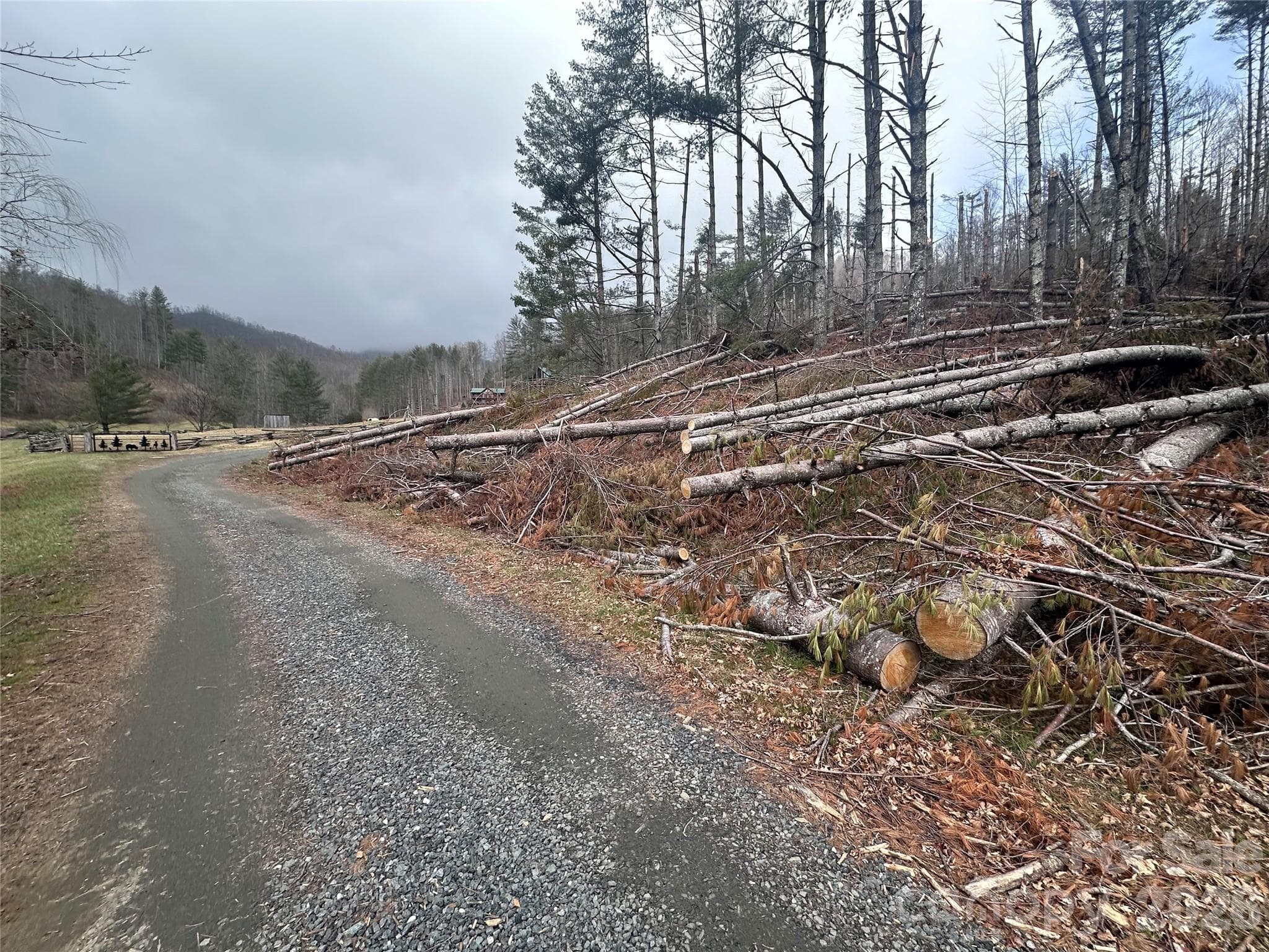 Fallen timber building space - Bakersville