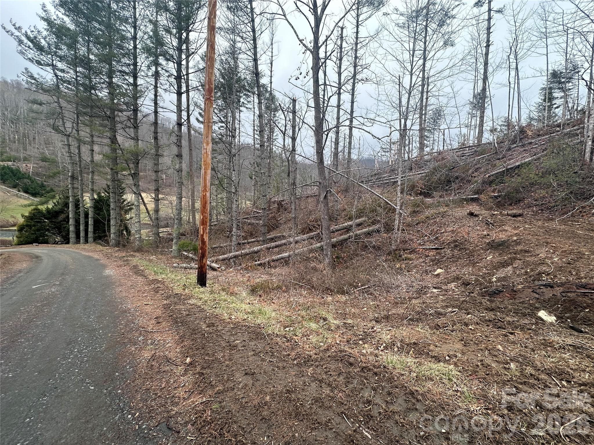 Entrance to logging road leading to wonderful building pad - Bakersville