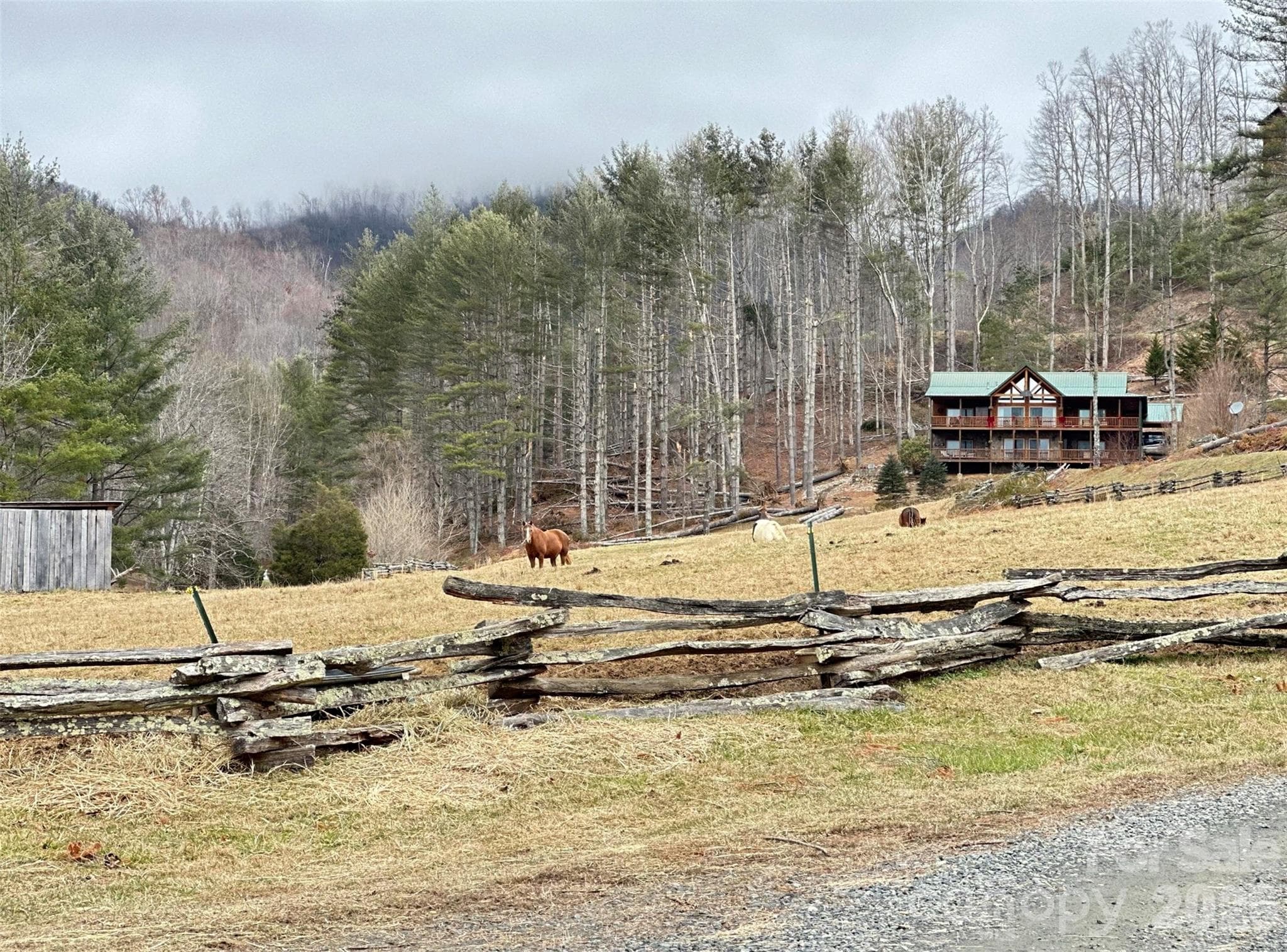 Take a look at the beautiful horses in Pasture in the common area of the subdivision - Bakersville