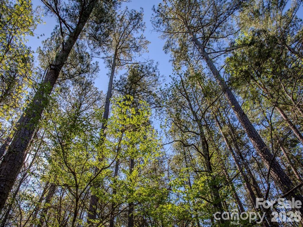 Lot at 0 Catfish Road, New London, photo 4 of 8
