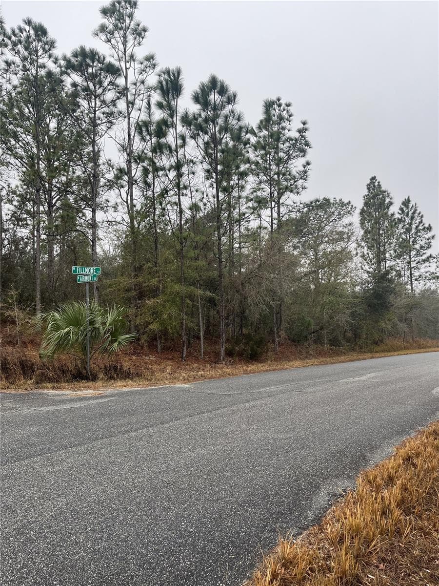 Street View - 6692 N AIRMONT DR, DUNNELLON
