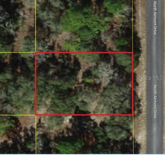 Aerial View - 6692 N AIRMONT DR, DUNNELLON