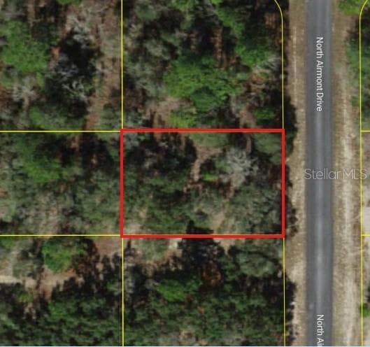 Aerial View - 6692 N AIRMONT DR, DUNNELLON