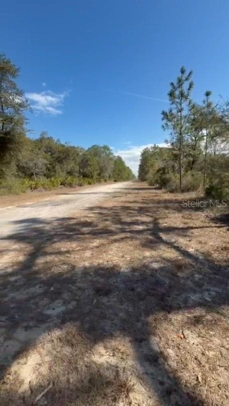 Land at 923 GAILLARDIA DR, INDIAN LAKE ESTATES, photo 7 of 14
