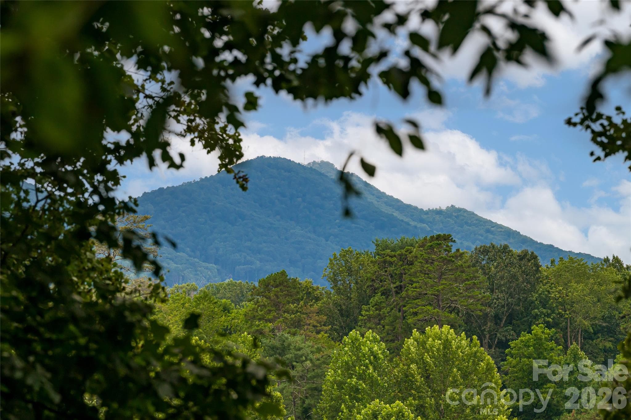 Mountain views from the backyard - 7 Bee Balm Way, Asheville