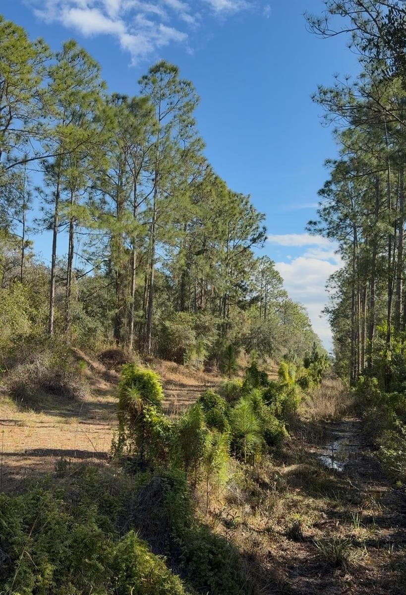 Back lot line - 923 GAILLARDIA DR, INDIAN LAKE ESTATES