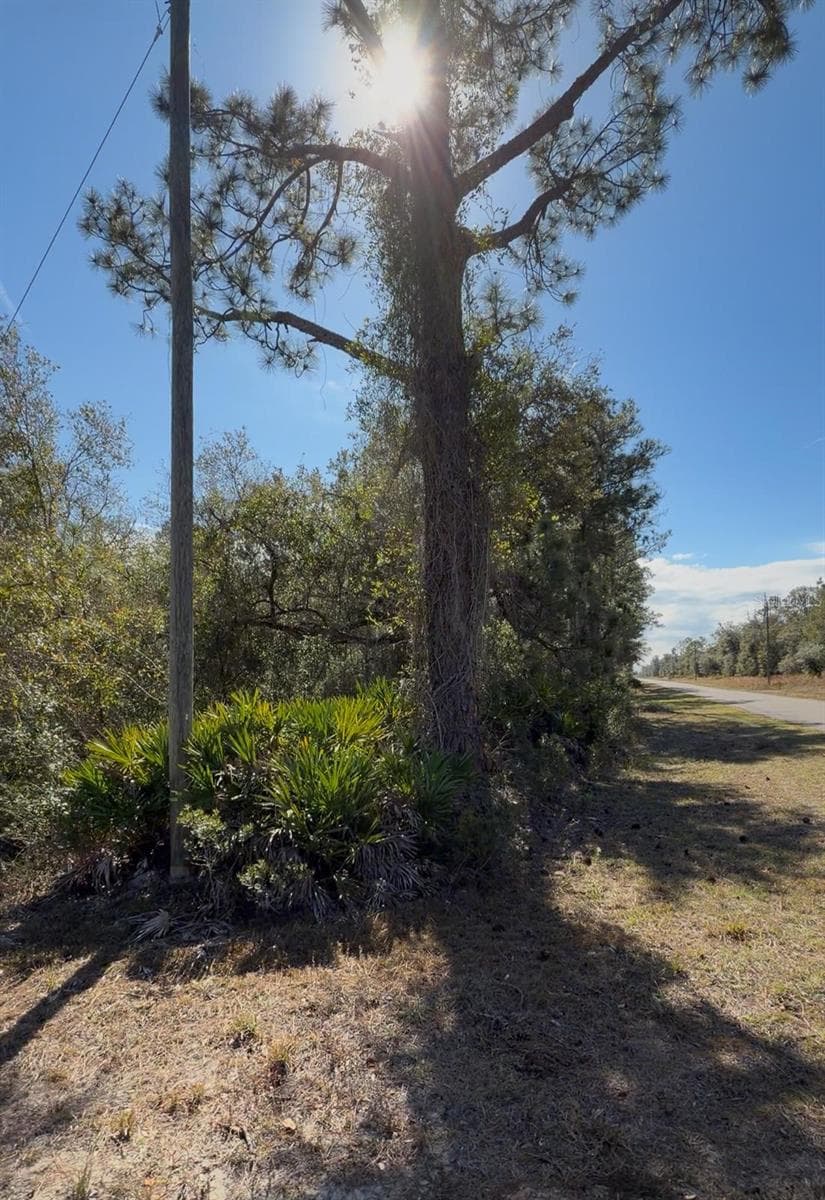 GAILLARDIA DR corner LakeView Dr - 923 GAILLARDIA DR, INDIAN LAKE ESTATES