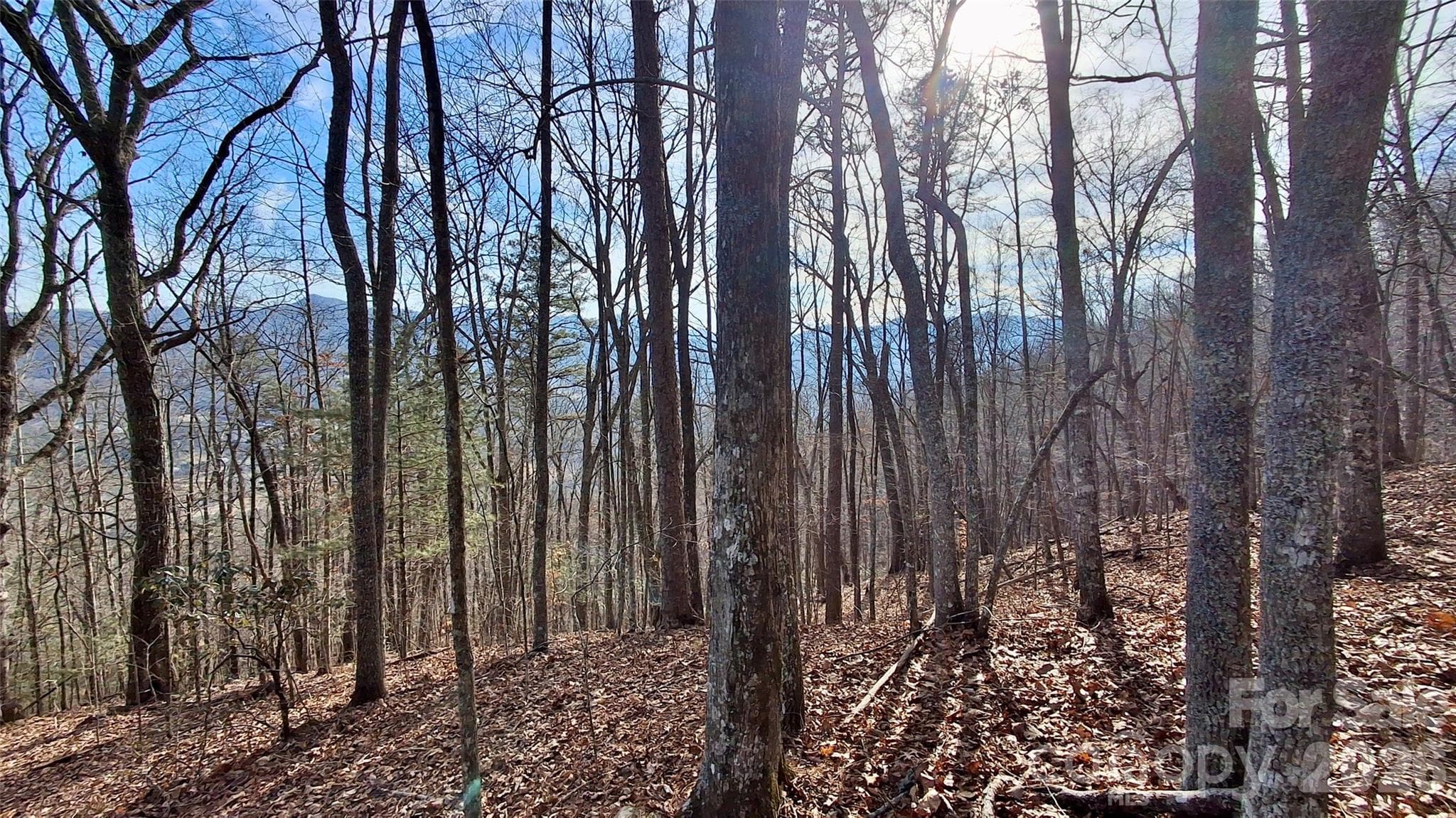 Acreage at 0 Briarwood Road, Webster, photo 2 of 29