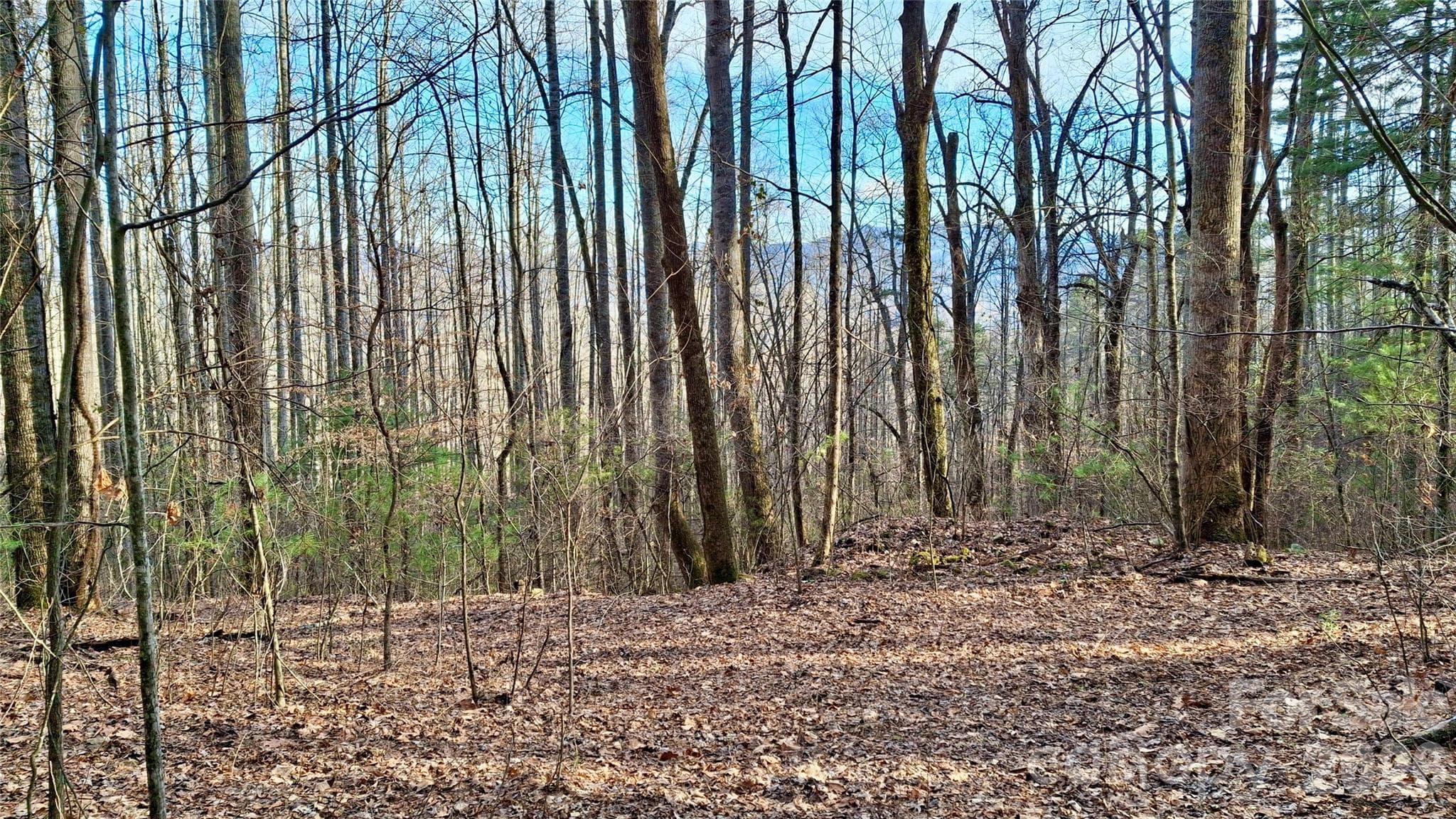 Acreage at 0 Briarwood Road, Webster, photo 3 of 29