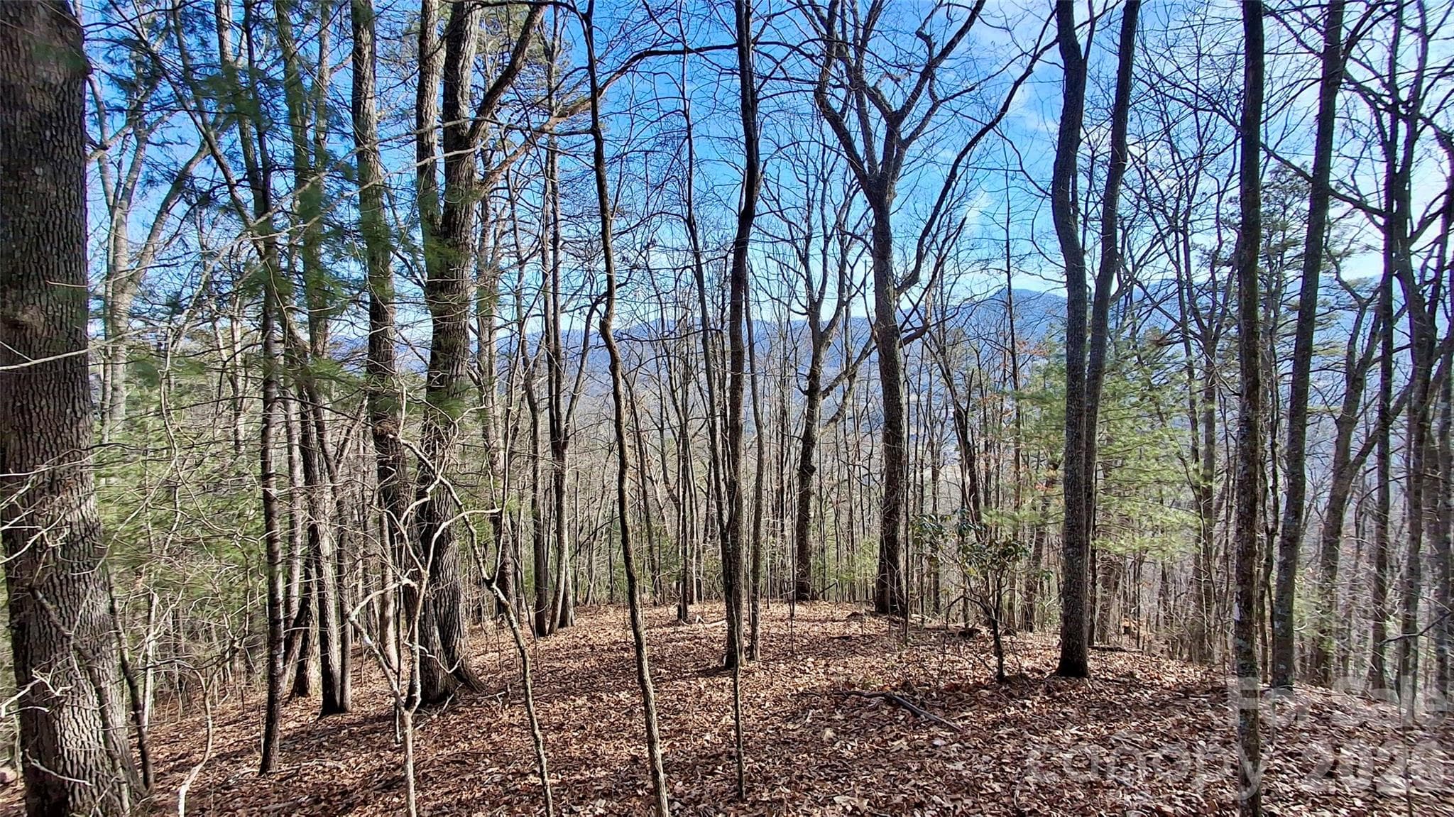 Acreage at 0 Briarwood Road, Webster, photo 4 of 29