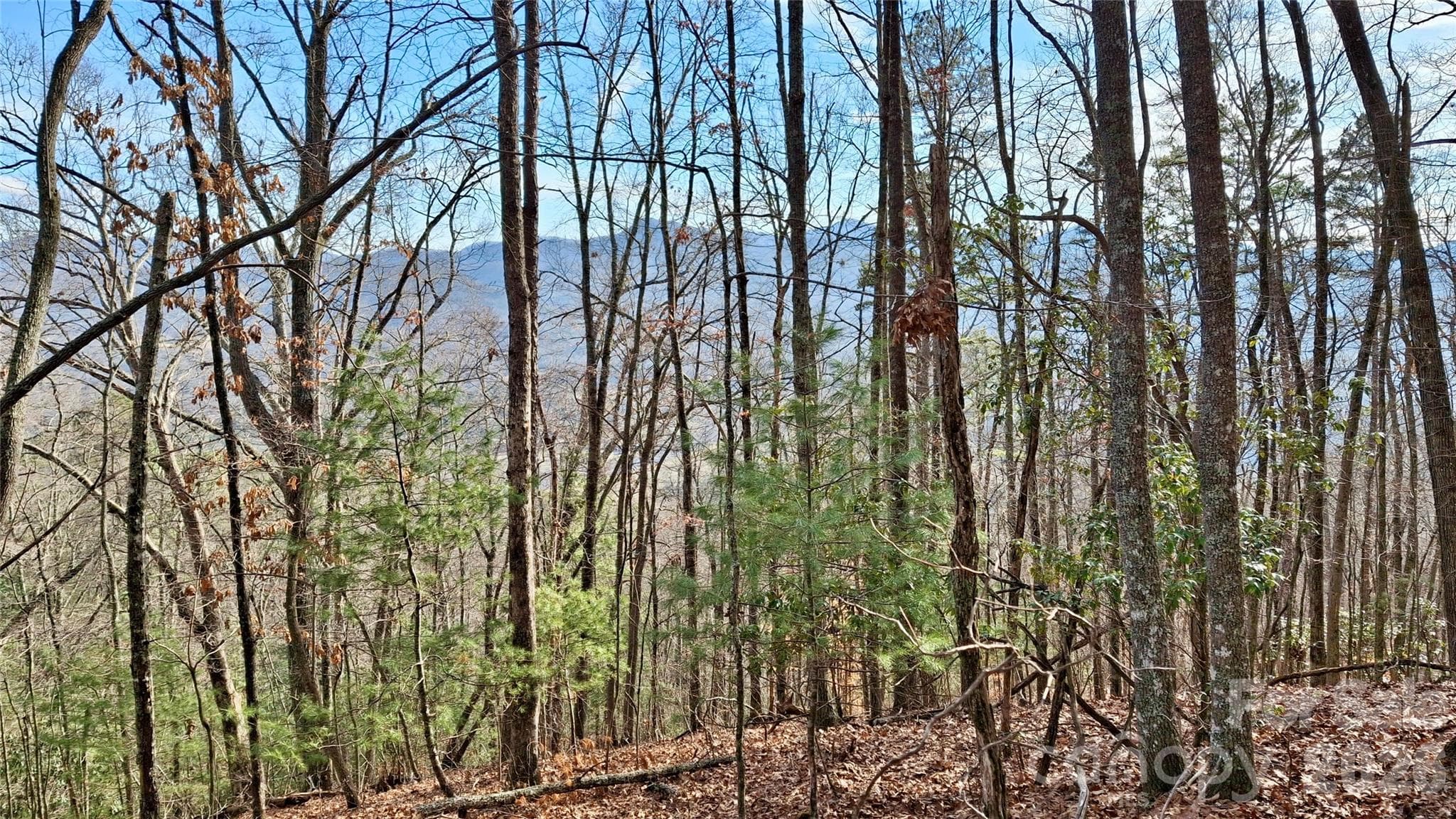 Acreage at 0 Briarwood Road, Webster, photo 7 of 29