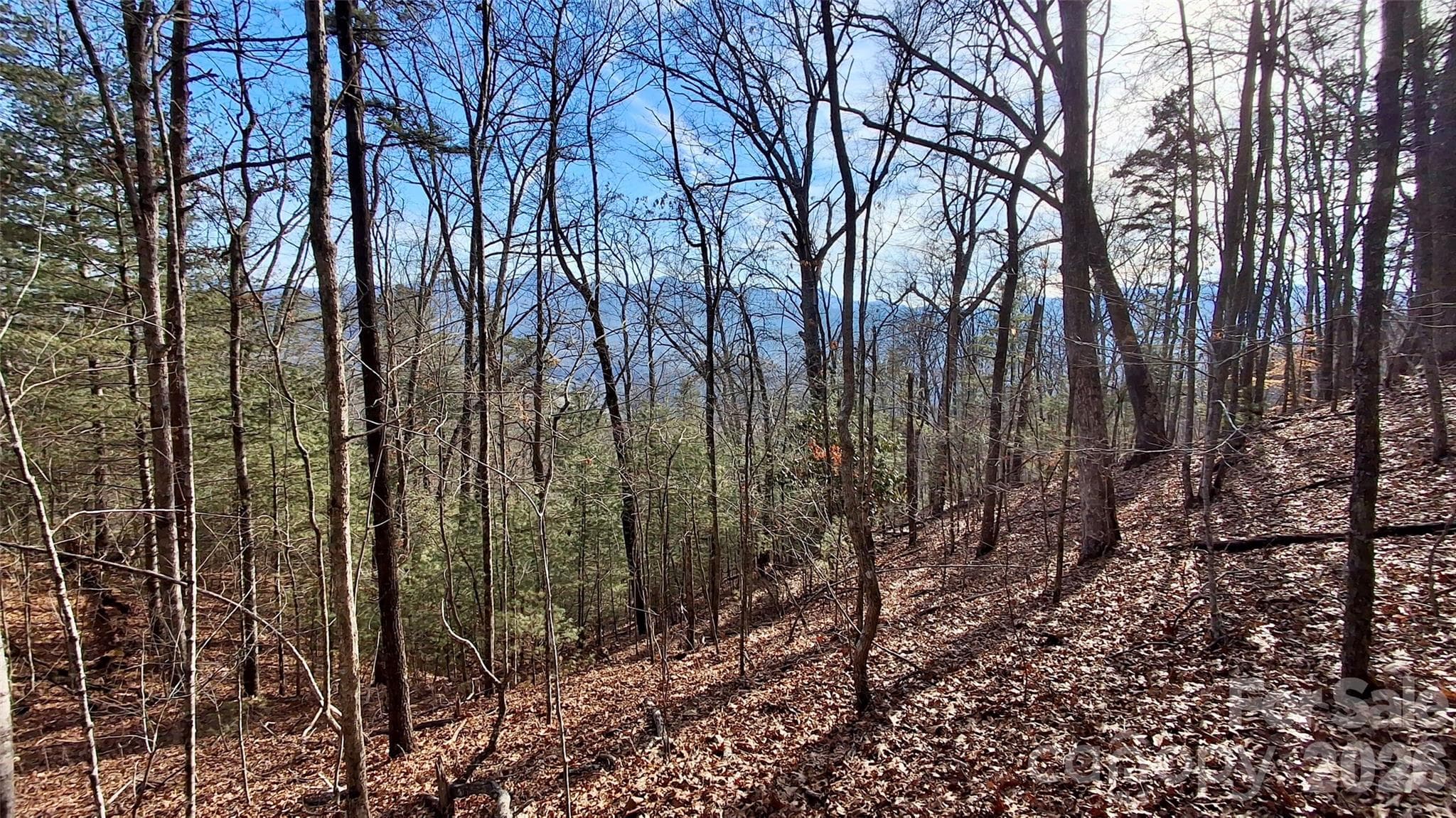 Acreage at 0 Briarwood Road, Webster, photo 8 of 29