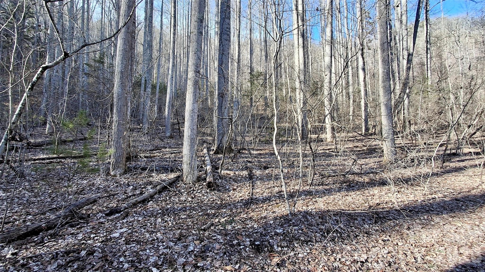 Acreage at 0 Briarwood Road, Webster, photo 10 of 29