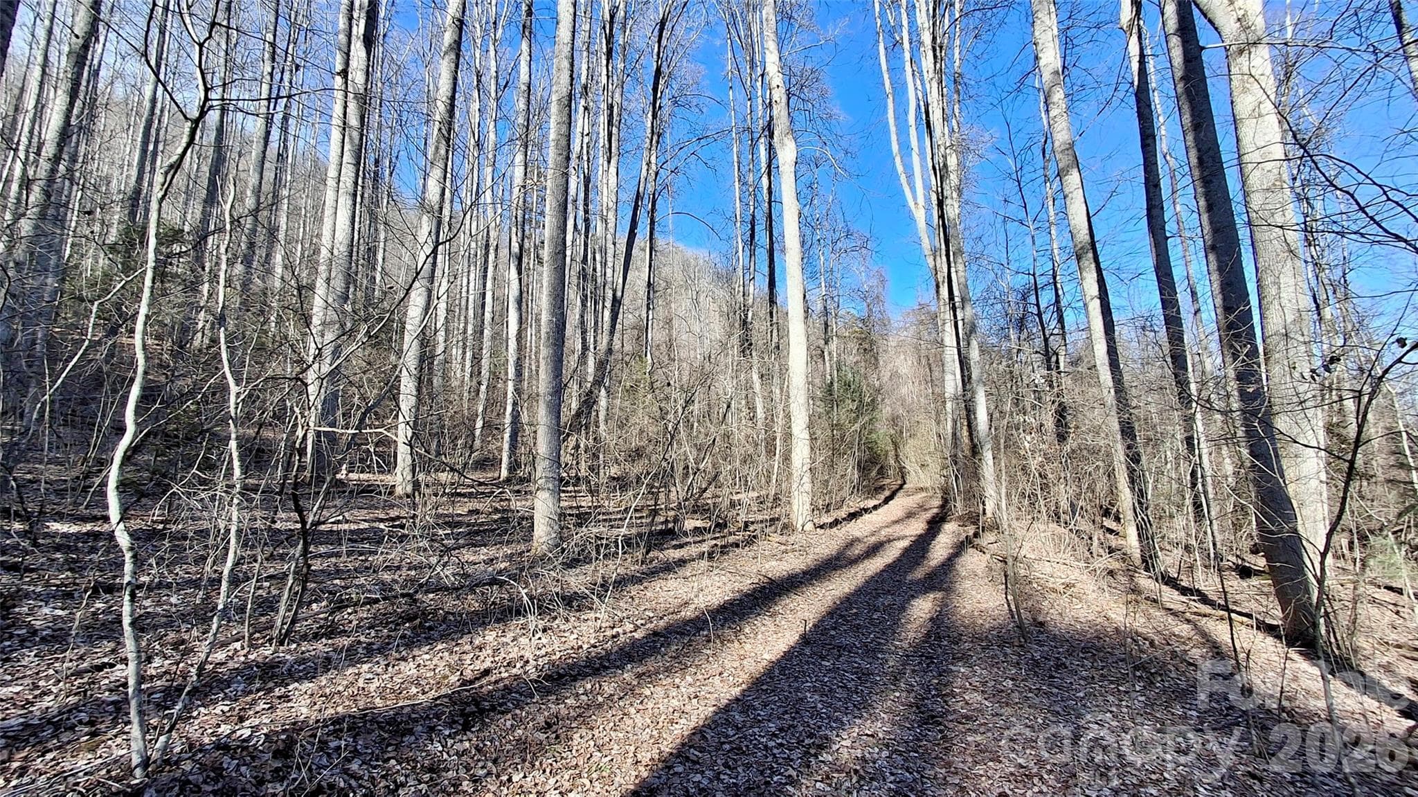 Acreage at 0 Briarwood Road, Webster, photo 14 of 29