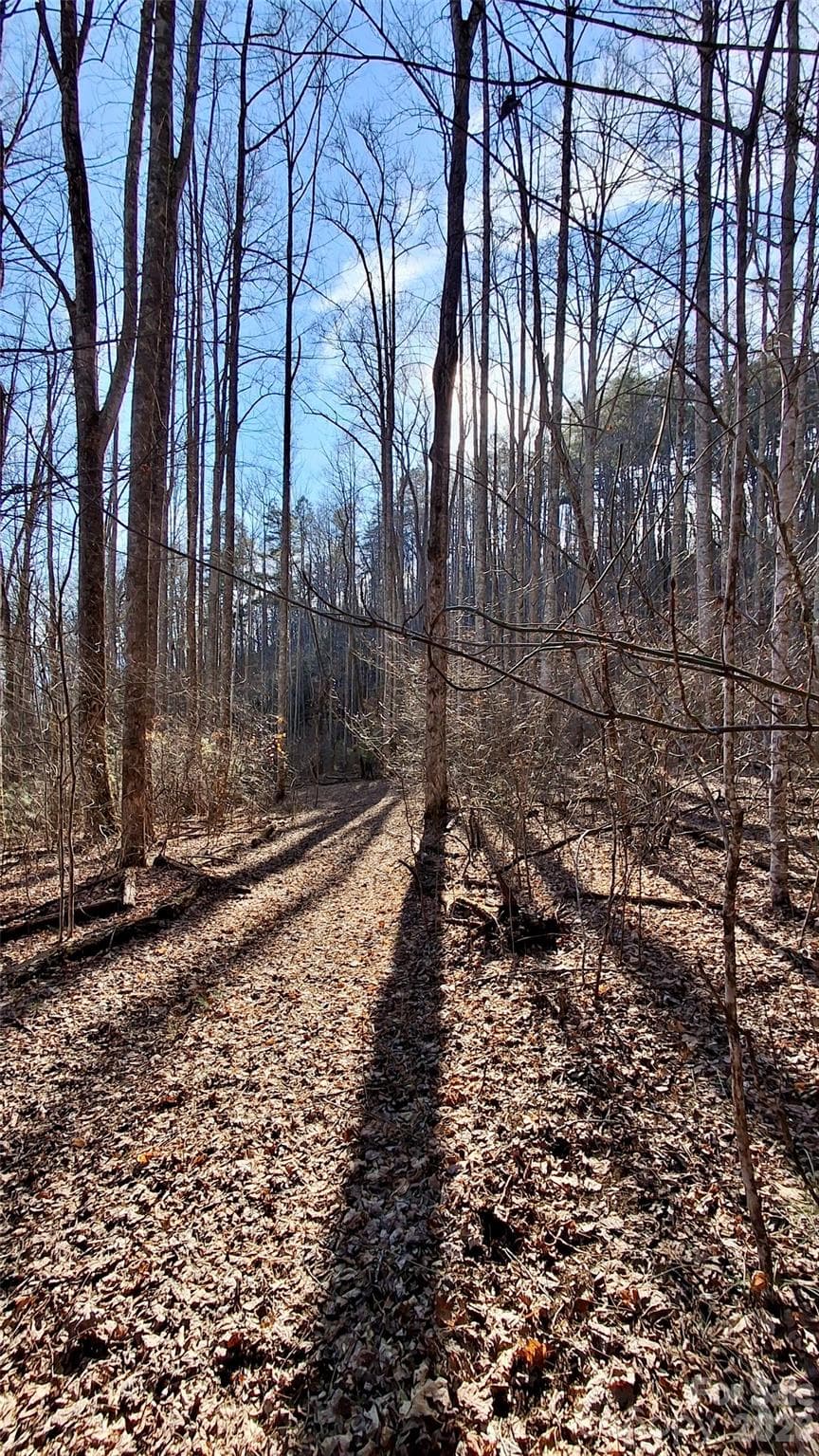 Acreage at 0 Briarwood Road, Webster, photo 15 of 29