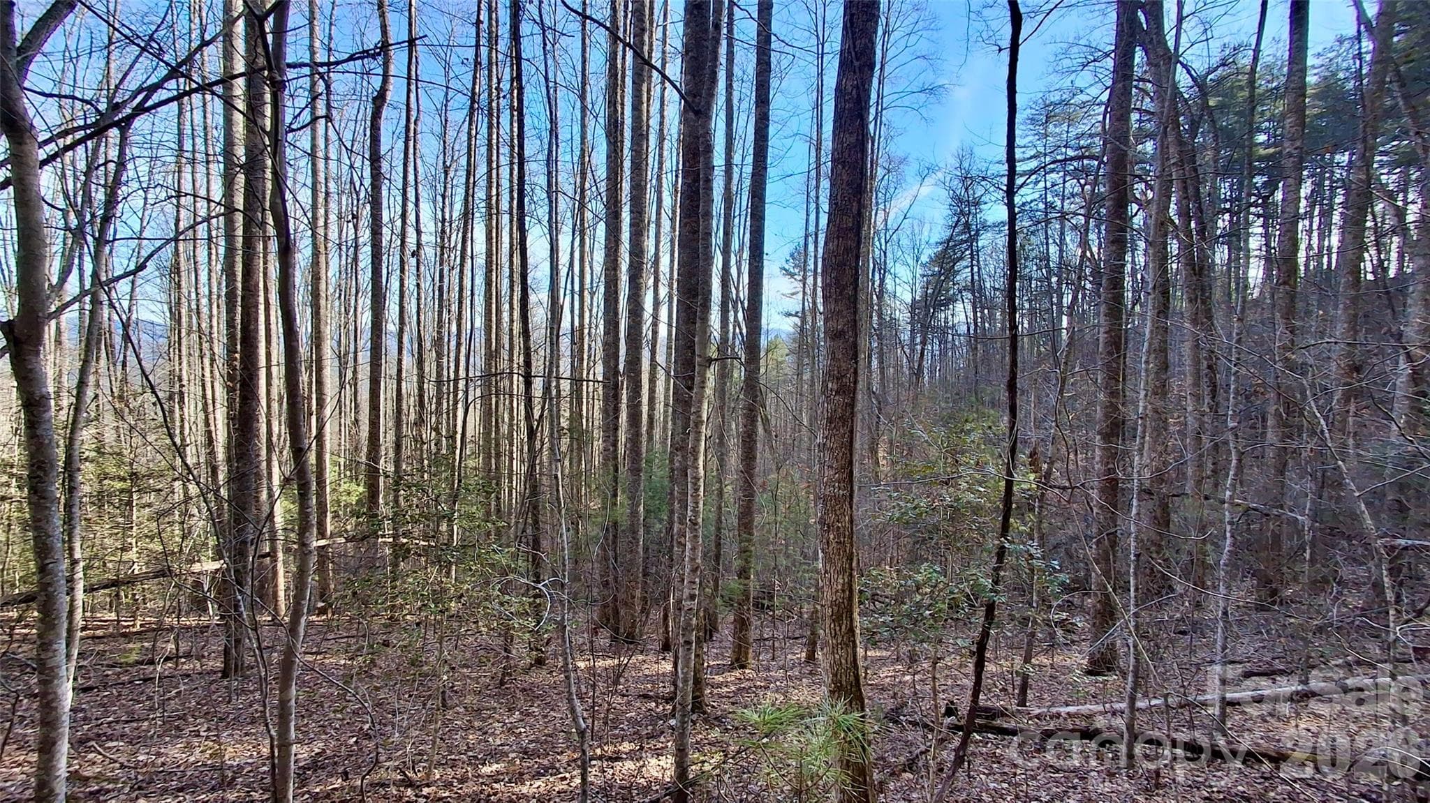 Acreage at 0 Briarwood Road, Webster, photo 19 of 29