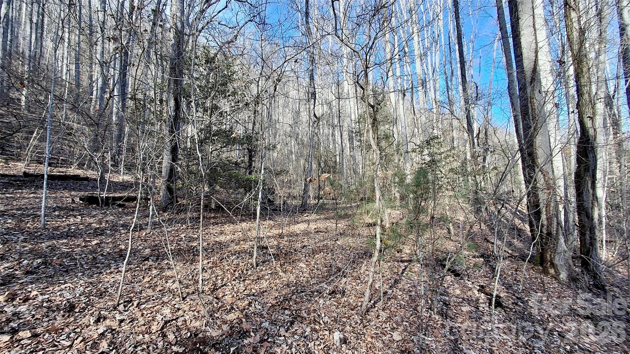 Acreage at 0 Briarwood Road, Webster, photo 21 of 29