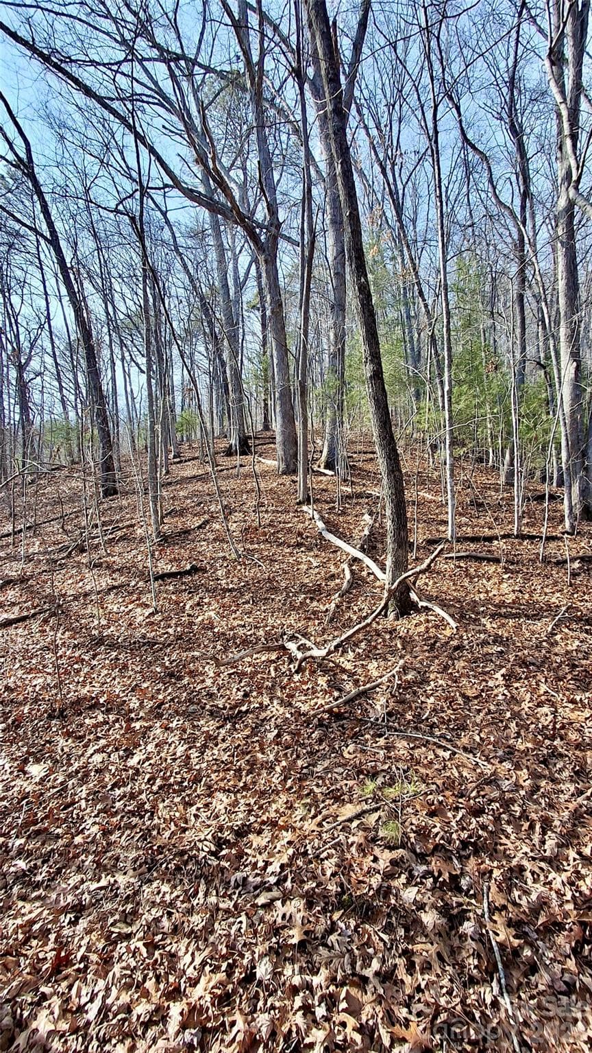 Acreage at 0 Briarwood Road, Webster, photo 22 of 29