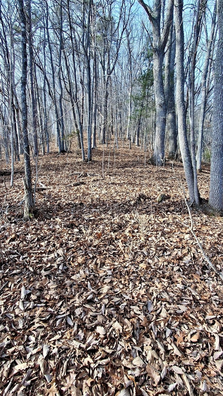 Acreage at 0 Briarwood Road, Webster, photo 24 of 29