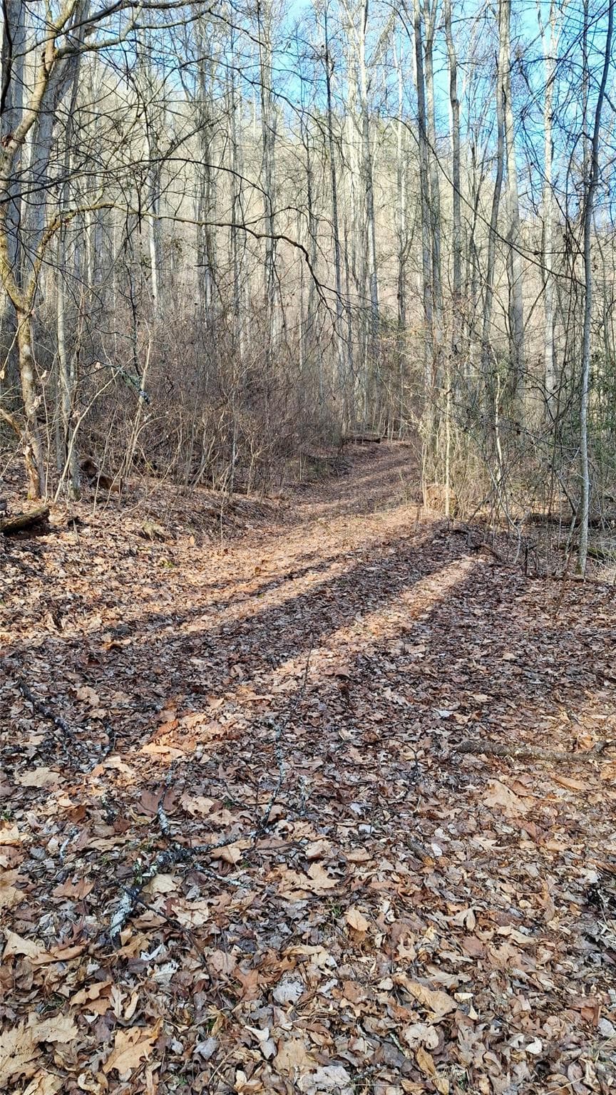 Acreage at 0 Briarwood Road, Webster, photo 27 of 29