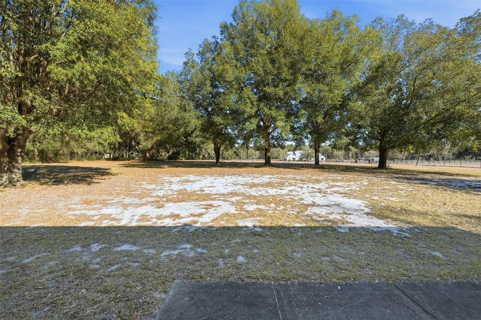 Yard - 36841 RESERVE DR, EUSTIS