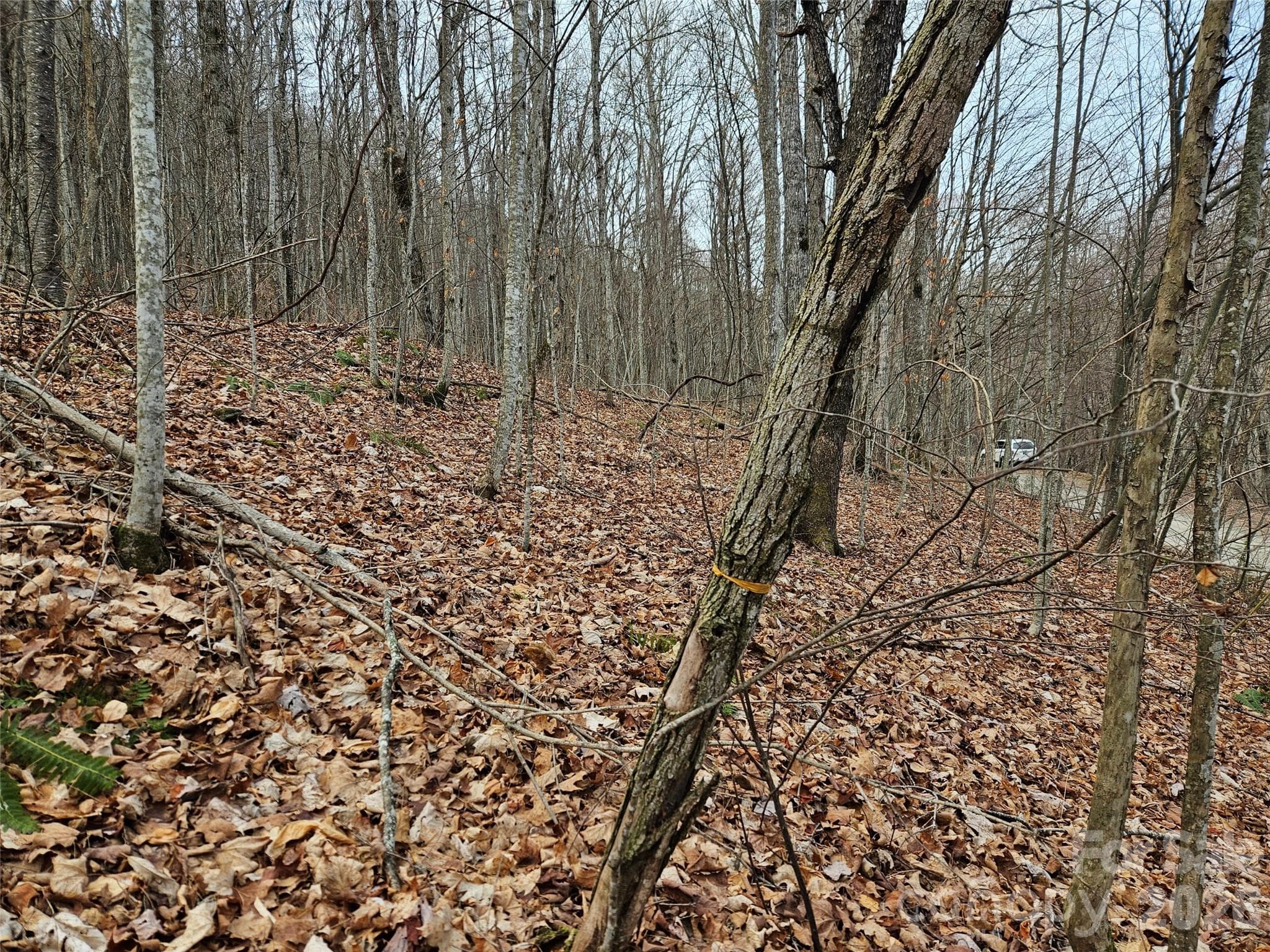 Lot at Waynesville, photo 3 of 14