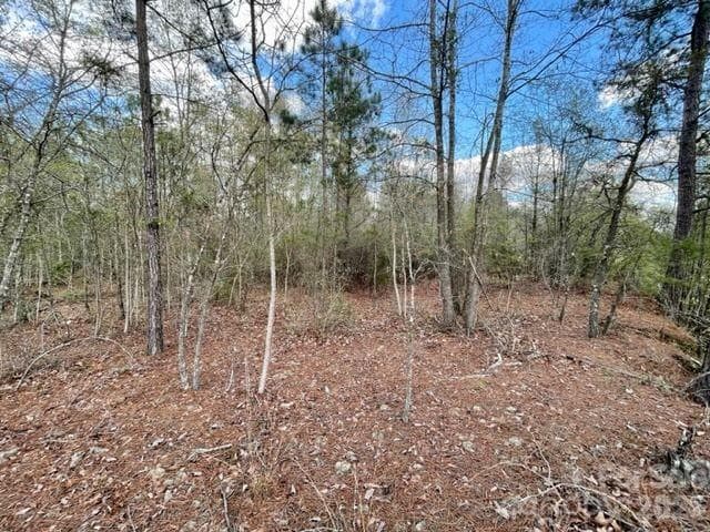 Acreage at 0000 Hwy 1 ByPass, Cheraw, photo 2 of 6