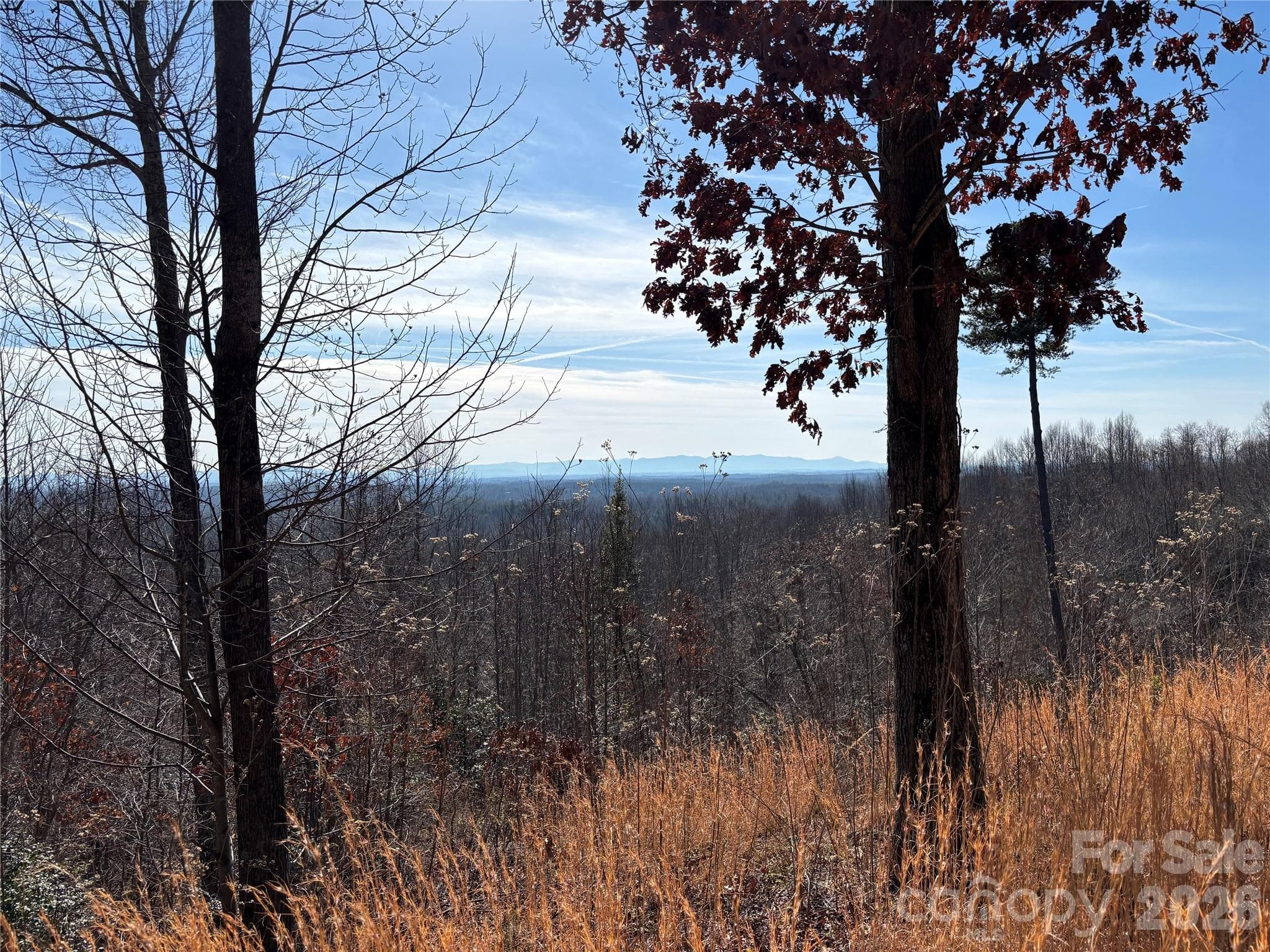 Lot at Lenoir, photo 9 of 29