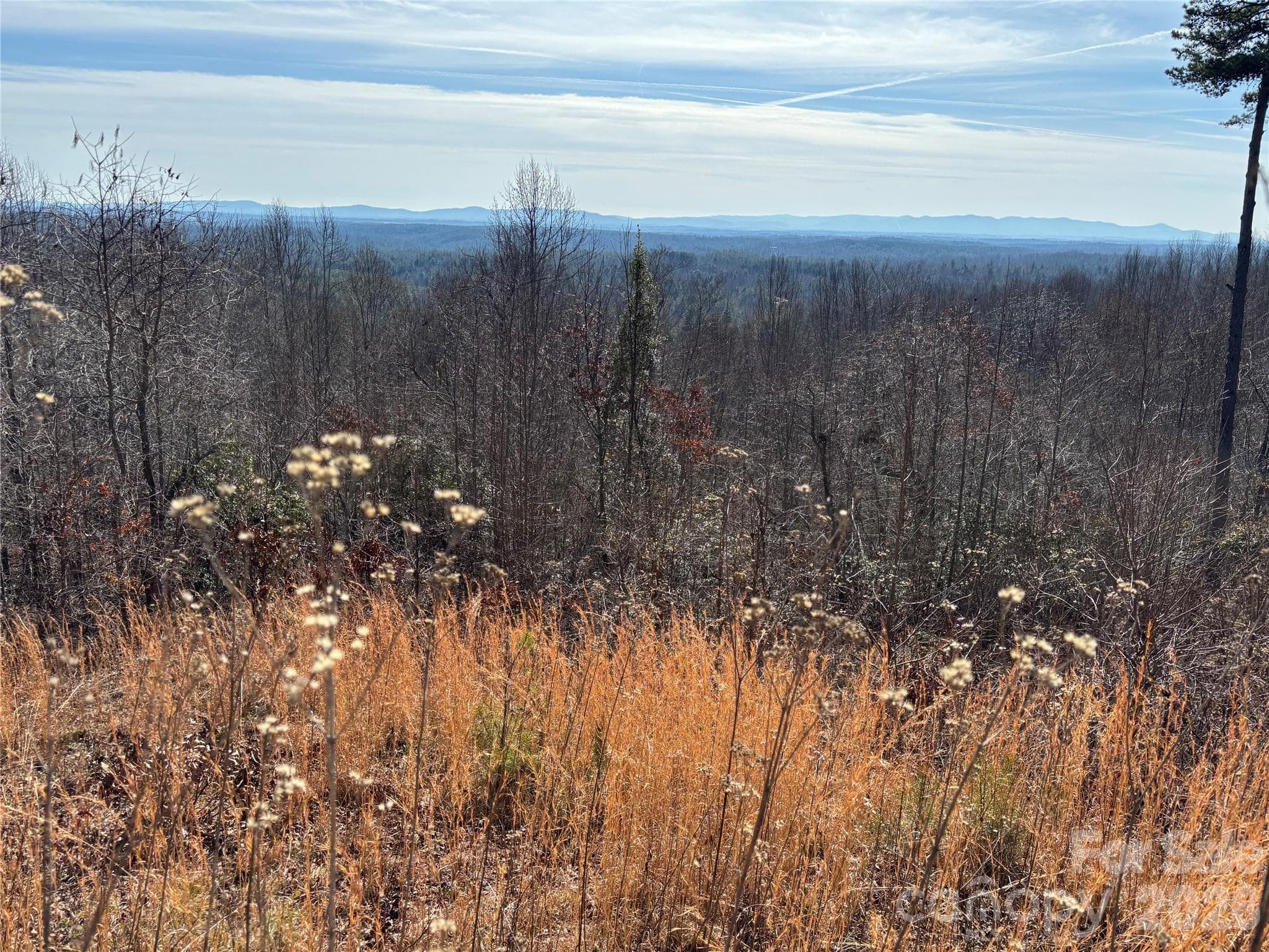 Lot at Lenoir, photo 10 of 29