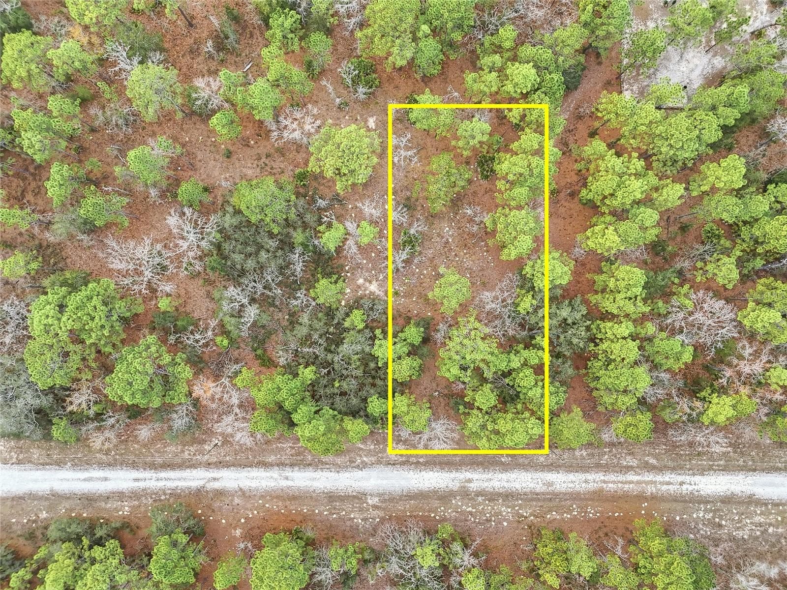 Land at CAYMAN RD, WEEKI WACHEE, photo 4 of 6