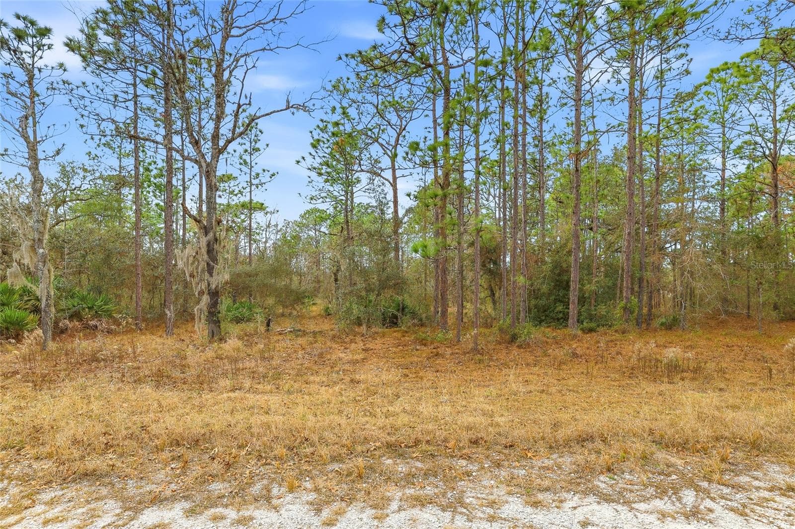 Land at CAYMAN RD, WEEKI WACHEE, photo 6 of 6