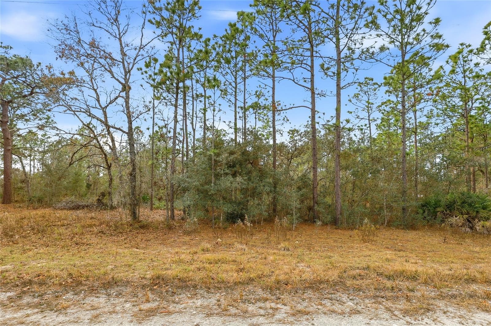 Land at CAYMAN RD, WEEKI WACHEE, photo 3 of 6