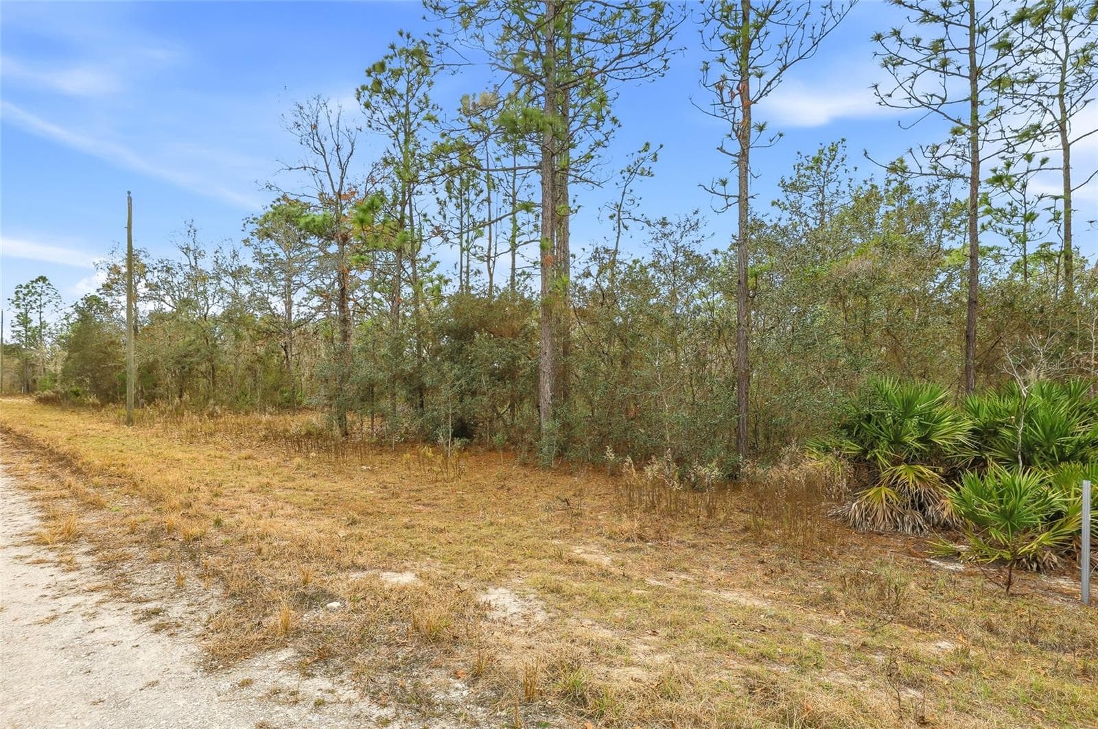 Land at CAYMAN RD, WEEKI WACHEE, photo 4 of 6