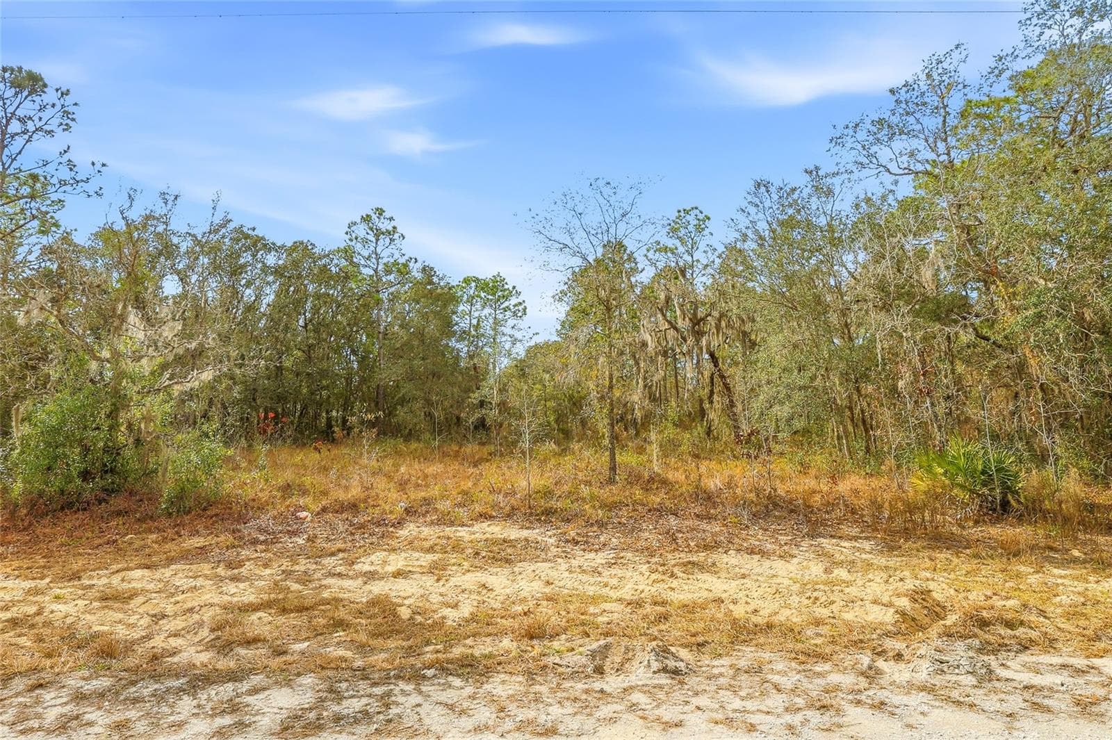 Land at CAYMAN RD, WEEKI WACHEE, photo 4 of 14