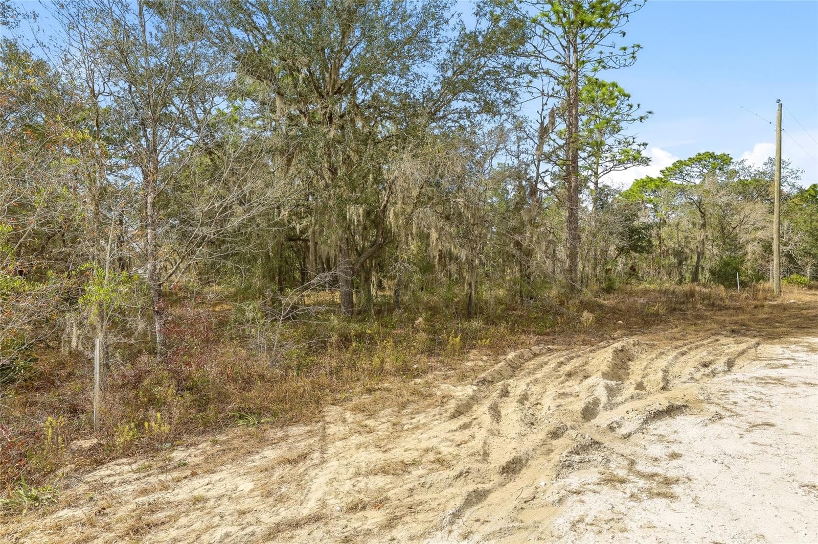 Land at CAYMAN RD, WEEKI WACHEE, photo 3 of 13