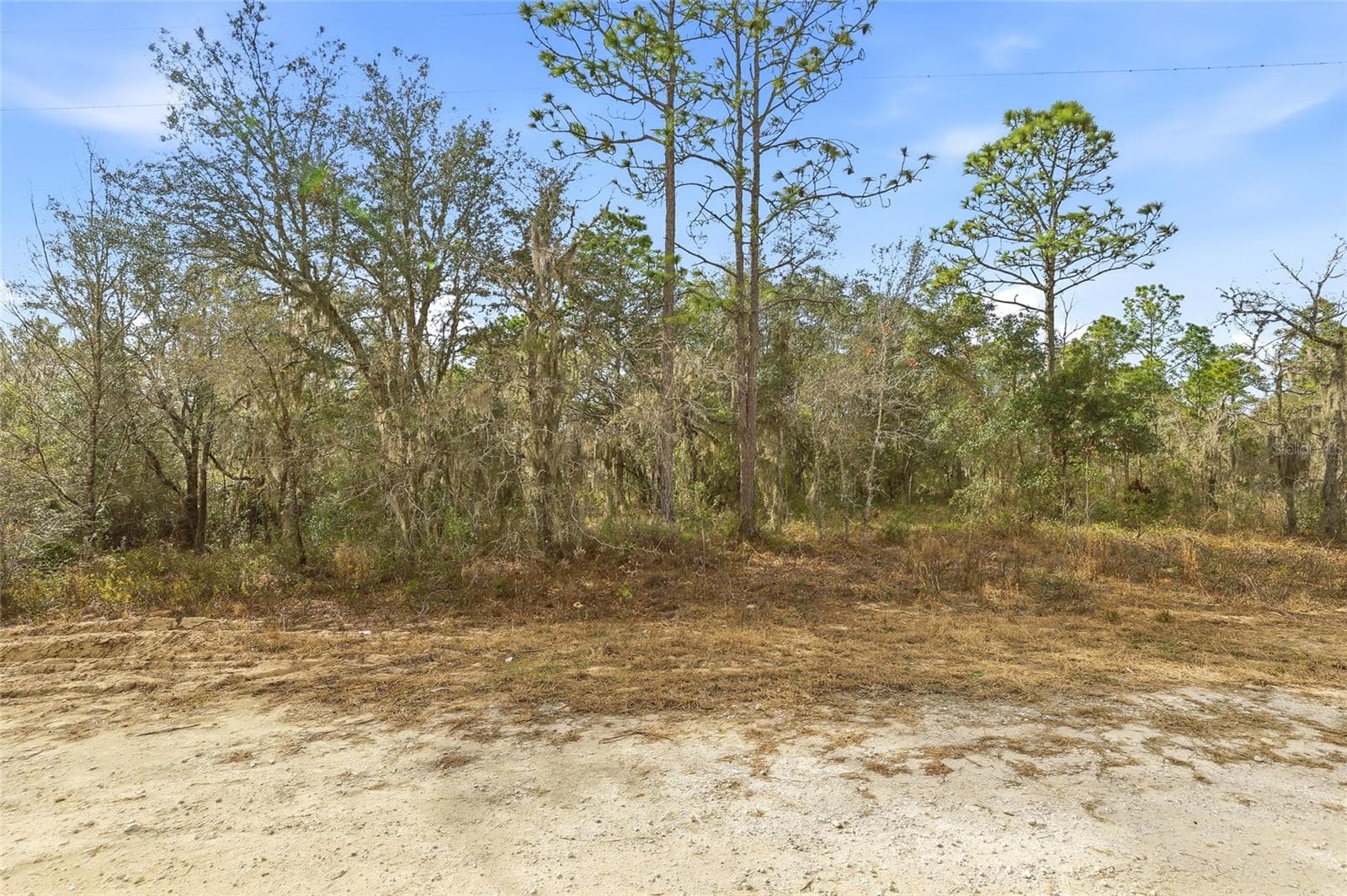 Land at CAYMAN RD, WEEKI WACHEE, photo 4 of 13