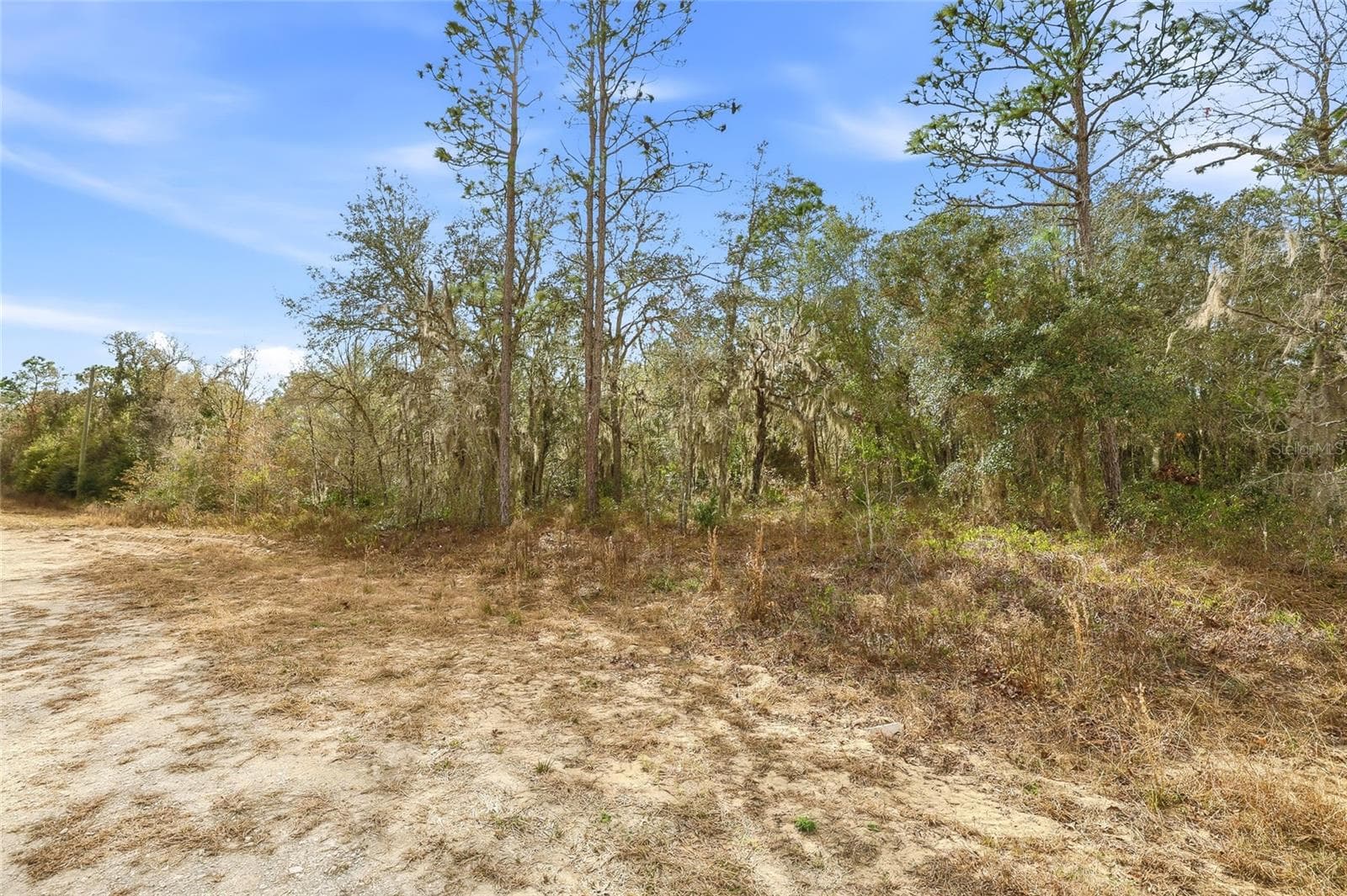 Land at CAYMAN RD, WEEKI WACHEE, photo 5 of 13