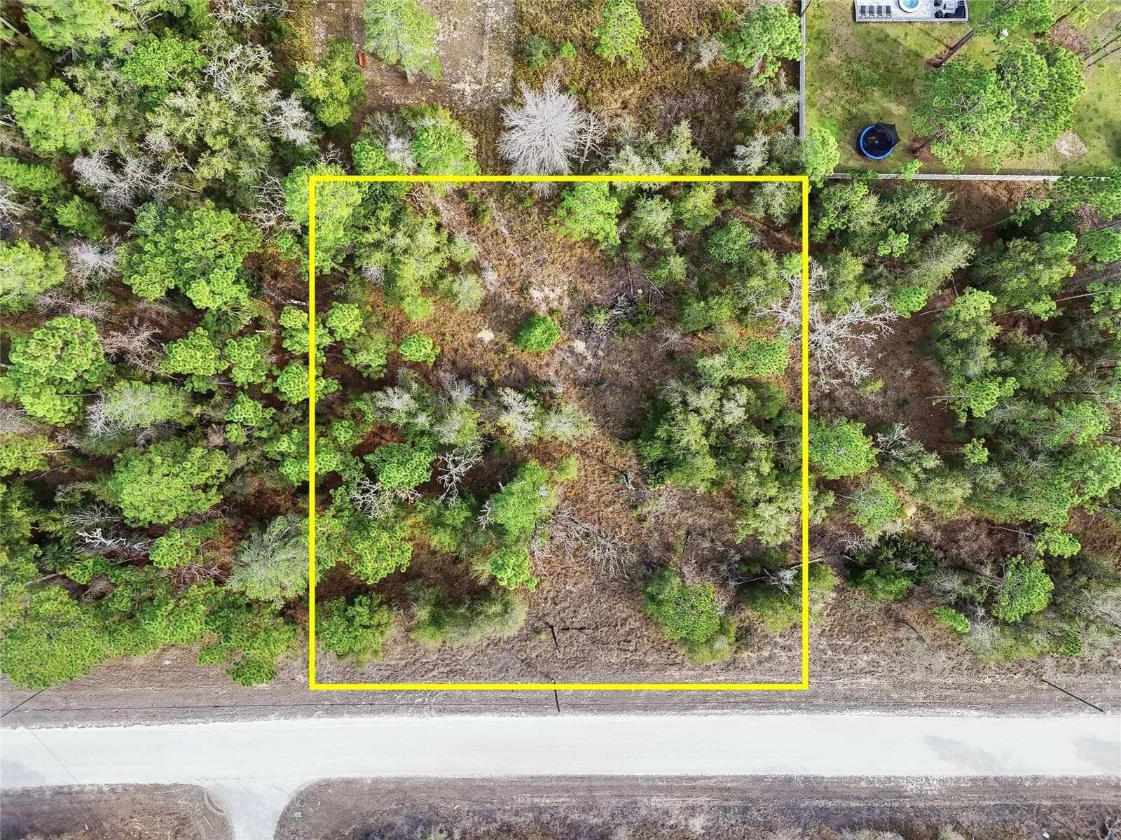 CHIMNEY SWIFT RD