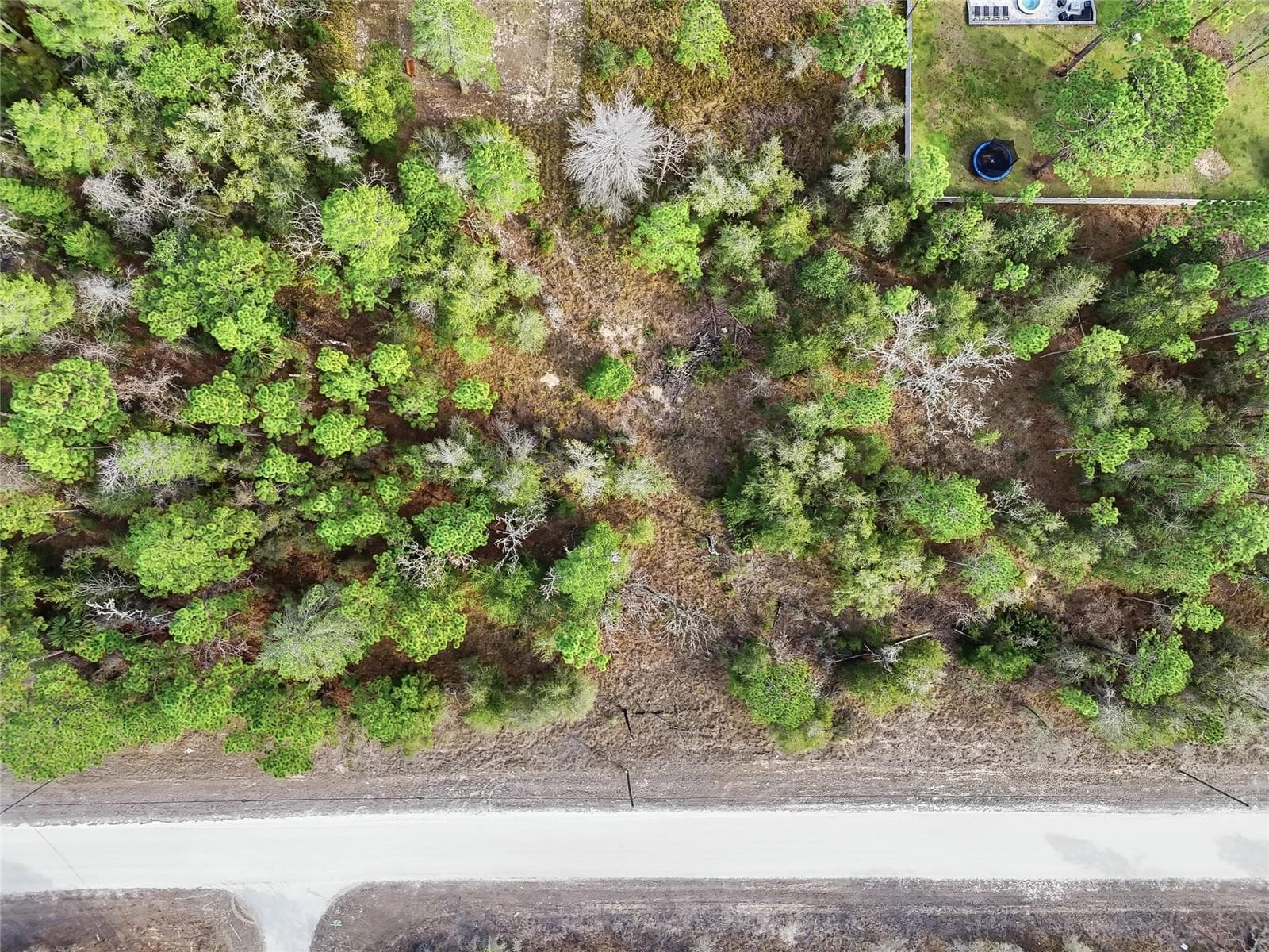 Land at CHIMNEY SWIFT RD, WEEKI WACHEE, photo 11 of 13